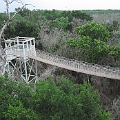 Another observation tower with a hanging bridge to the next observation tower